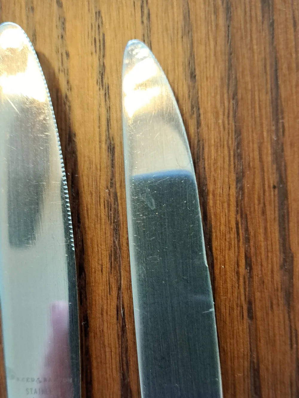 Reed and Barton Seafare Stainless Flatware - Glossy Silver Finish